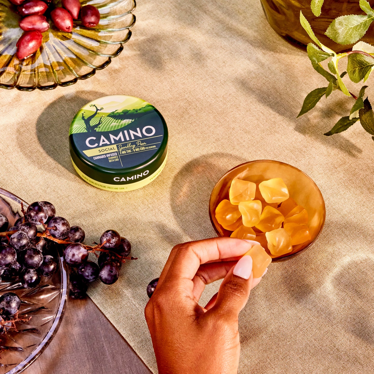 Camino Sparkling Pear - Social - 2mg THC : 6mg CBD Gummies (100mg) (12 Tins Per Case)