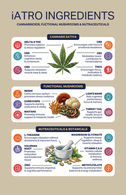 Meditate - Blueberry