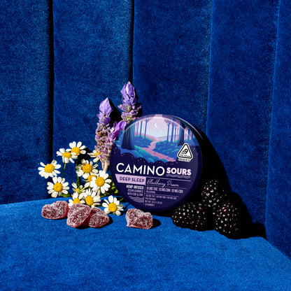 Camino Sours - Blackberry Dream - Deep Sleep- 10mg THC Gummies (100mg)