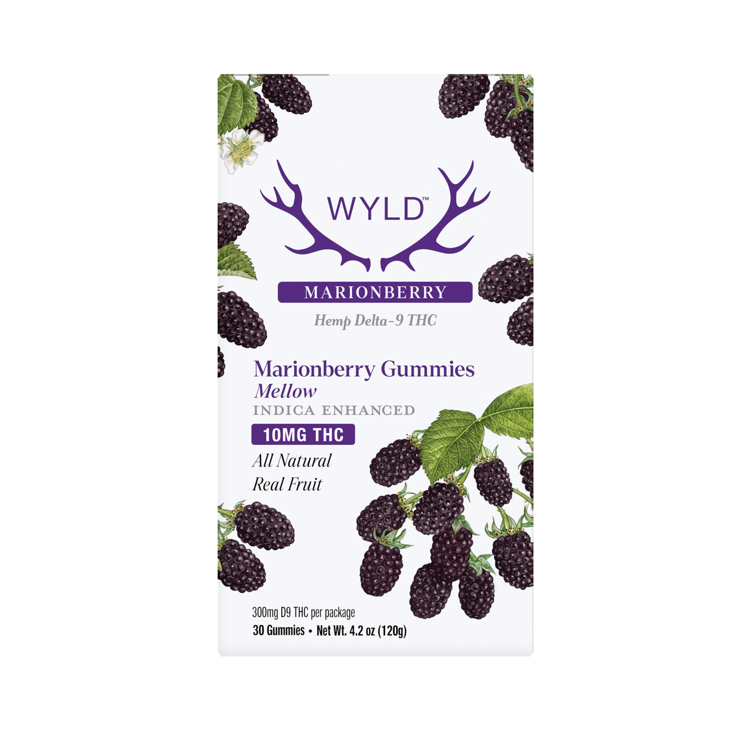 SINGLE - Wyld - Marionberry Indica - Mellow - 10mg THC per piece (300mg) 30ct